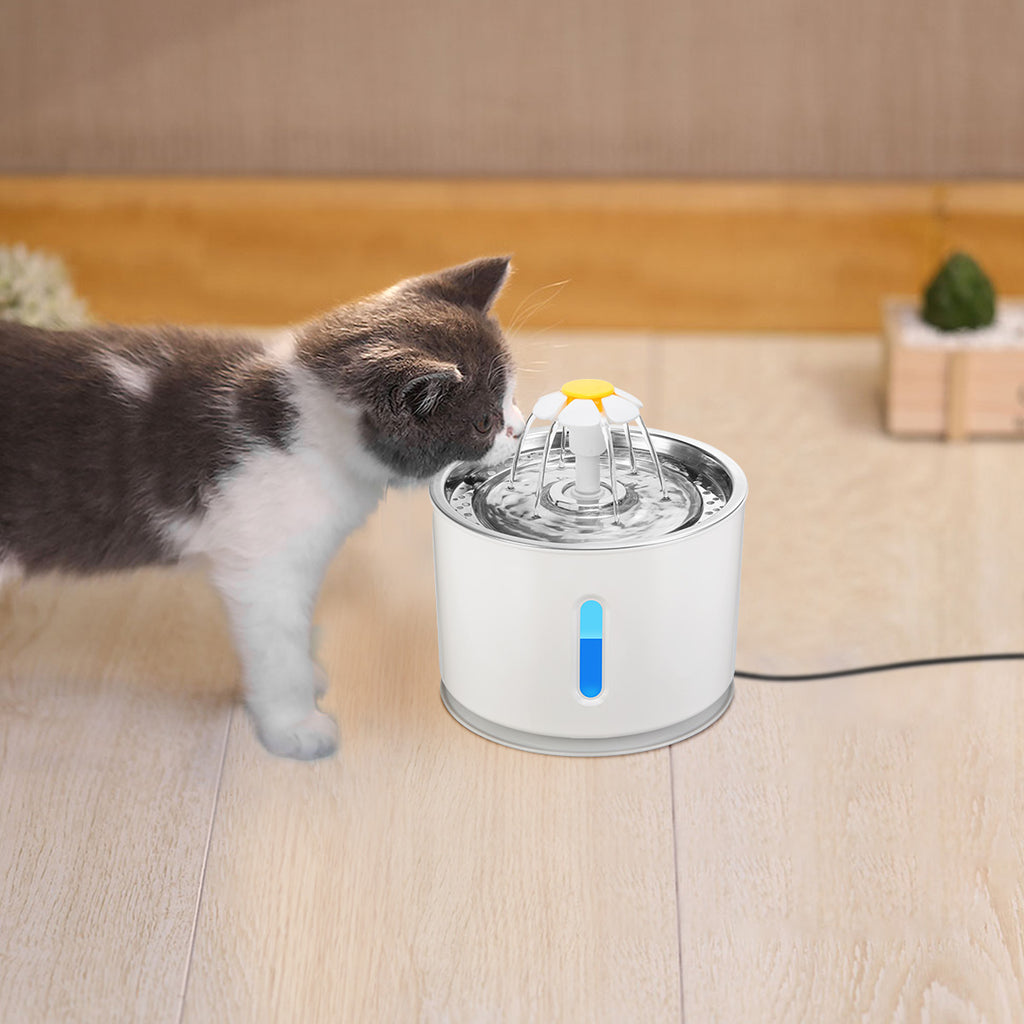 Automatic per cat water fountain